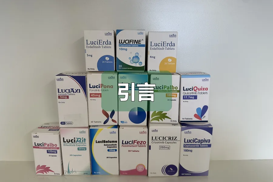引言